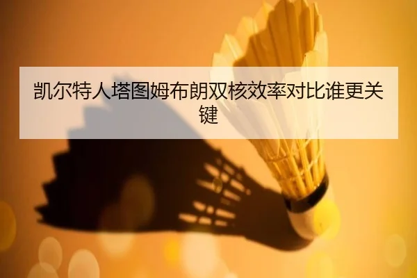 凯尔特人塔图姆布朗双核效率对比谁更关键 | kaiyun
